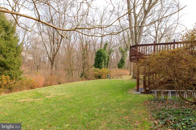 a view of a yard with large trees