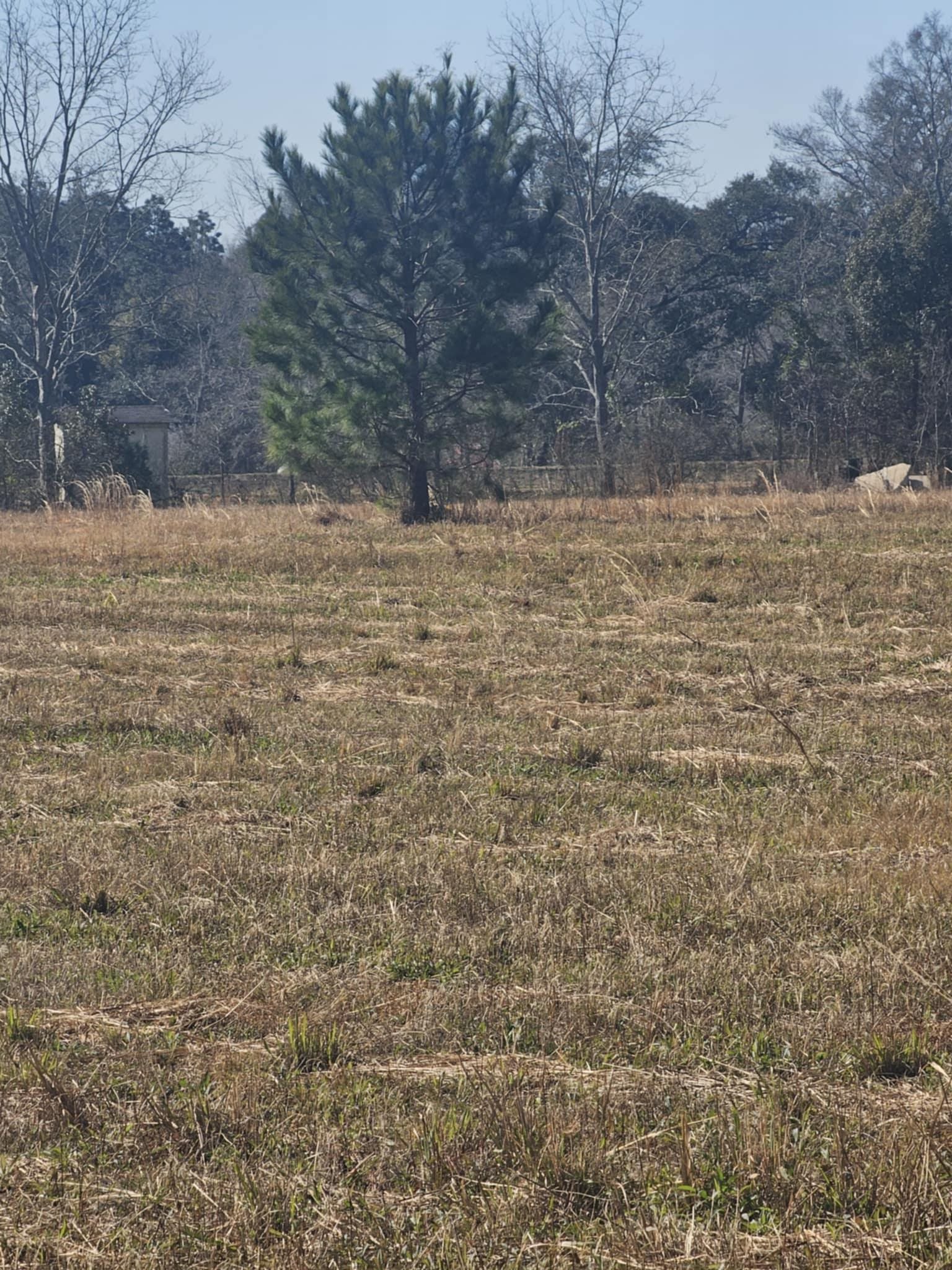 0 Black Griffin Road Loxley, AL 36551 - Photo 5 of 8 View