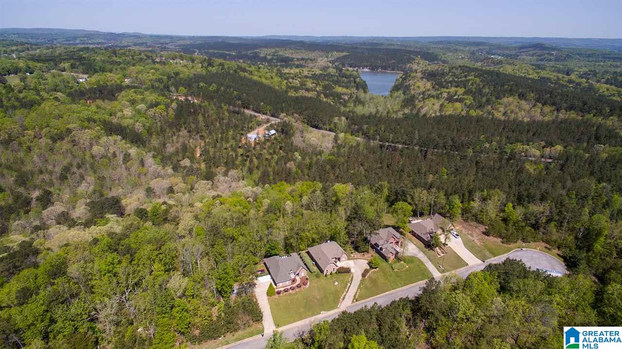 503 Cross Ridge Lane Odenville, AL 35120 - Photo 37 of 37