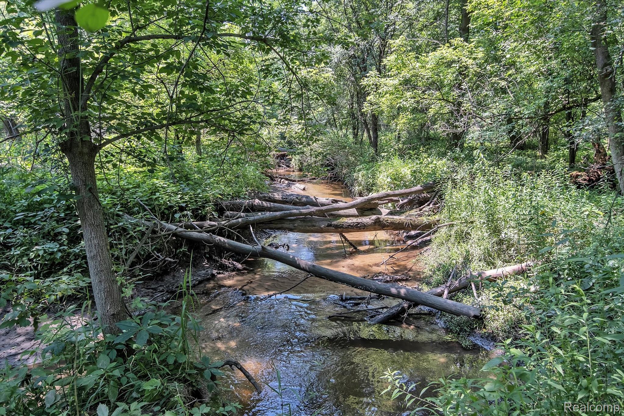 5514 Warren Road Ann Arbor, MI 48105 - Photo 51 of 58 41 View of Fleming Creek.jpg