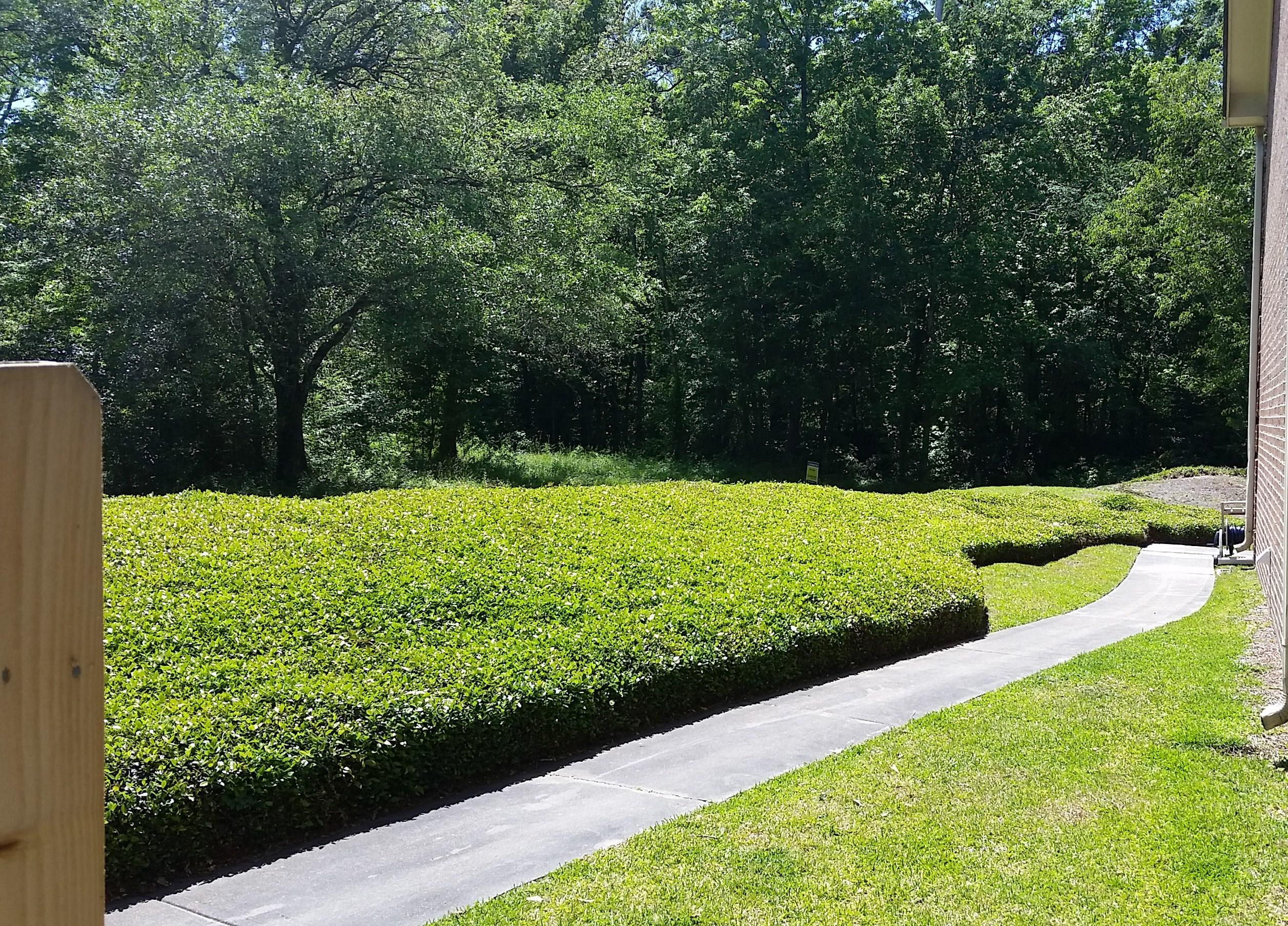 302 Springview Lane, Unit 3 Summerville, SC 29485 - Photo 6 of 27 Exterior Side