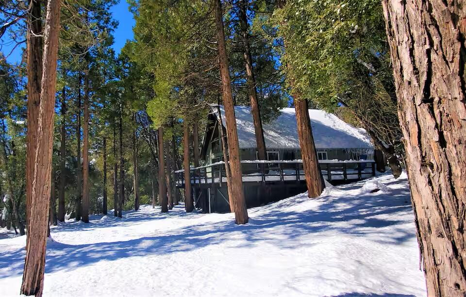 1693 Forest Rte 21S94 Camp Nelson, CA 93265 - Photo 84 of 86 a view of a house with trees in the background