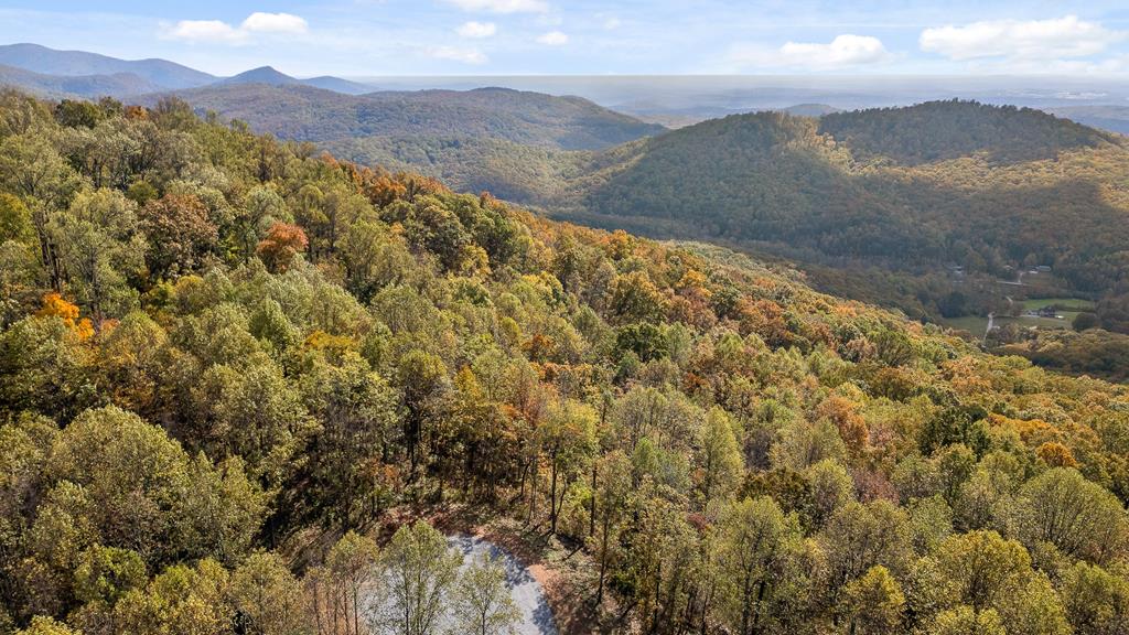 Lot 377 Calloway Mountain Road Talking Rock, GA 30175 - Photo 3 of 25