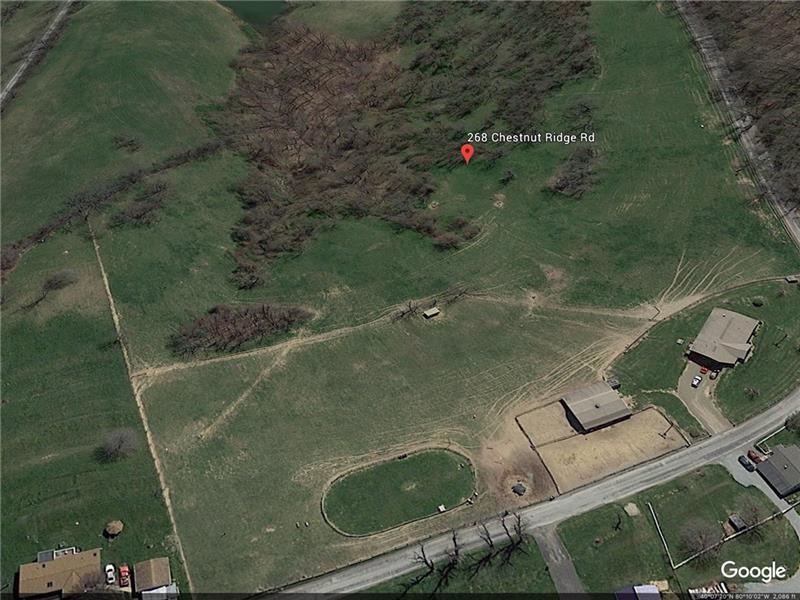 268 Chestnut Ridge Road Washington, PA 15301 - Photo 23 of 24