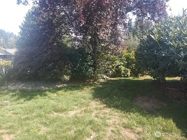 a view of a tree in a yard