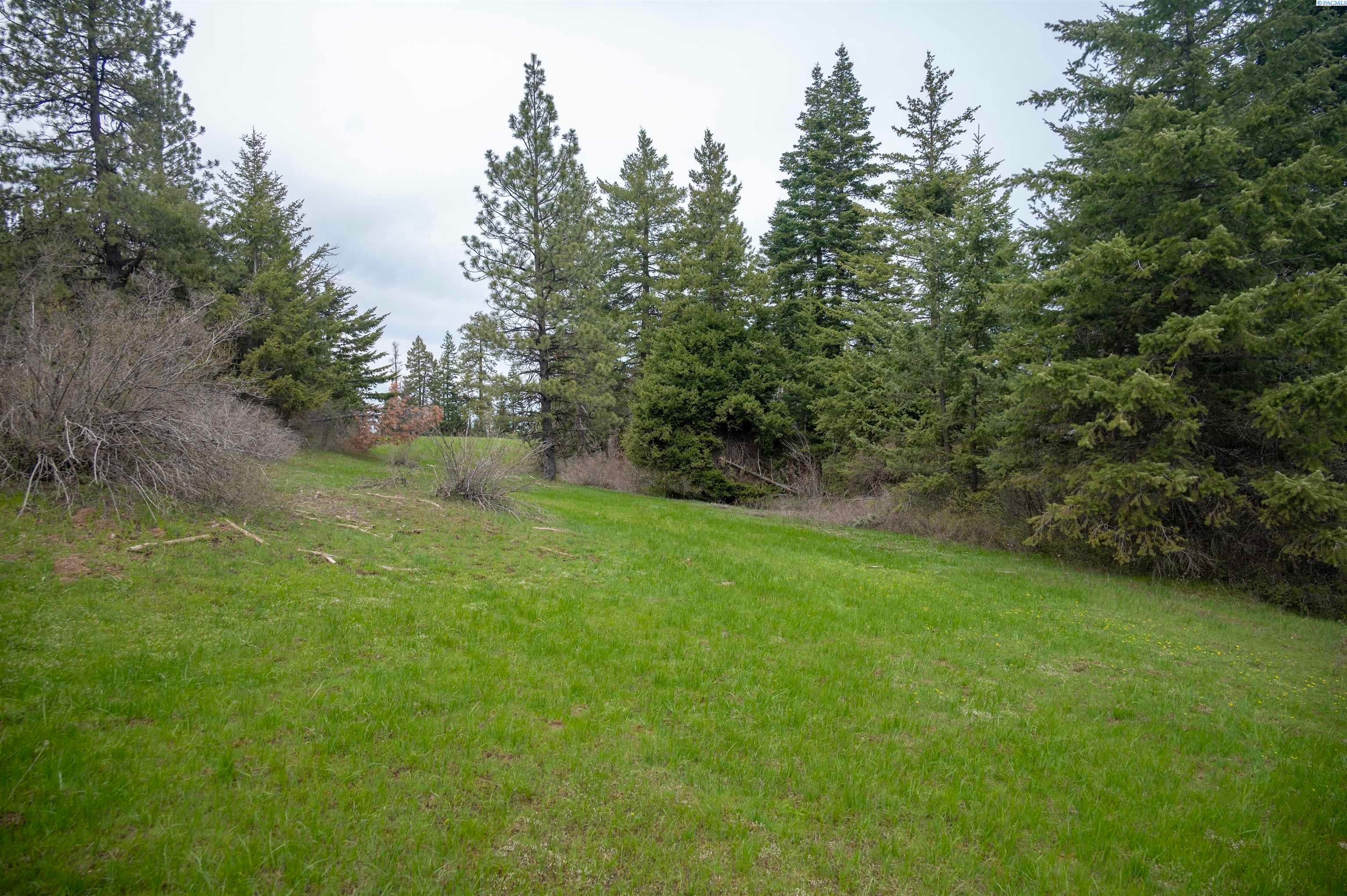 Unk20 Blacksnake Ridge Road Walla Walla, WA 99362 - Photo 8 of 41 Gallery Image 8