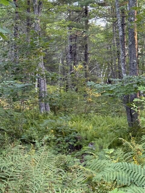 110 Calderwood Road Washington, ME 04574 - Photo 4 of 7 d2b03dfe-2c40-4cb2-96f3-afbce429a253