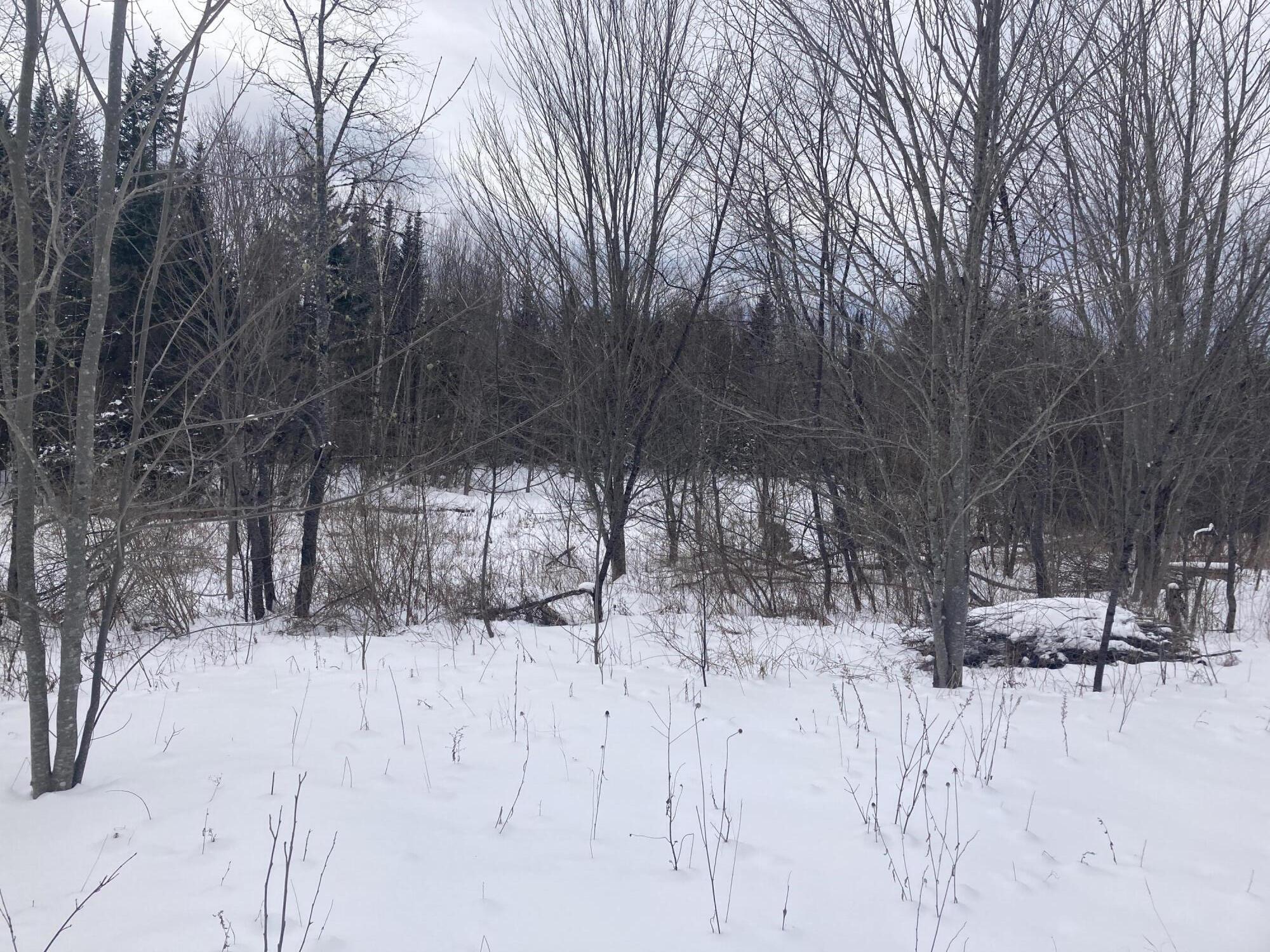 Map5-lot14 Howland Road Lagrange, ME 04453 - Photo 8 of 12 IMG_1803