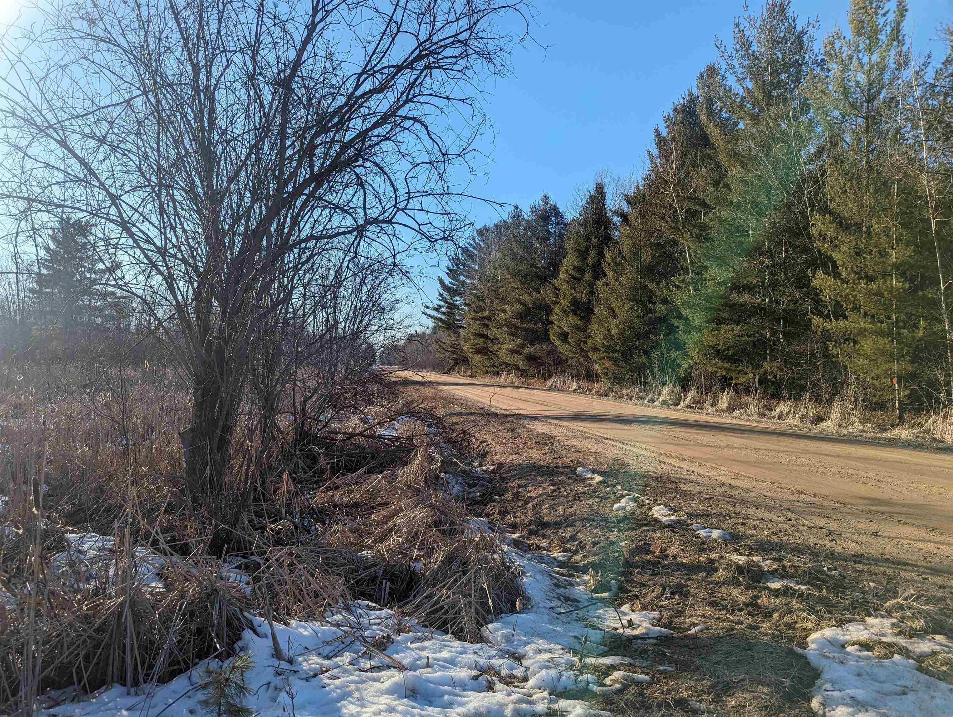 N/a West Sun Oil Road Gladwin, MI 48624 - Photo 3 of 8 1919103-53311b48-4563-4fec-9310-de80ee49c147.JPG