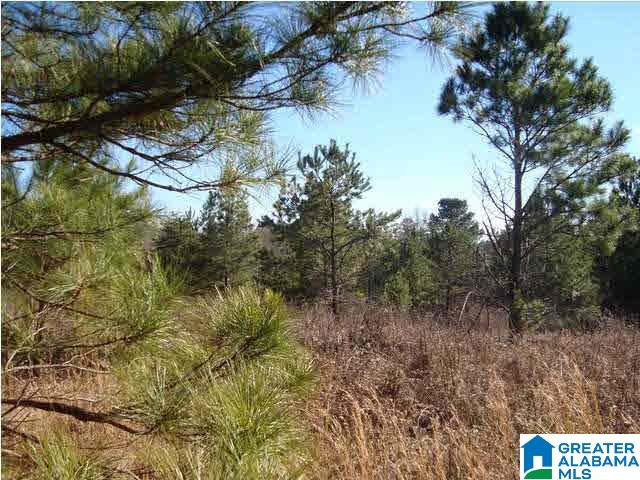 29 Highway Ac Al, Unit 33 Oneonta, AL 35121 - Photo 13 of 23