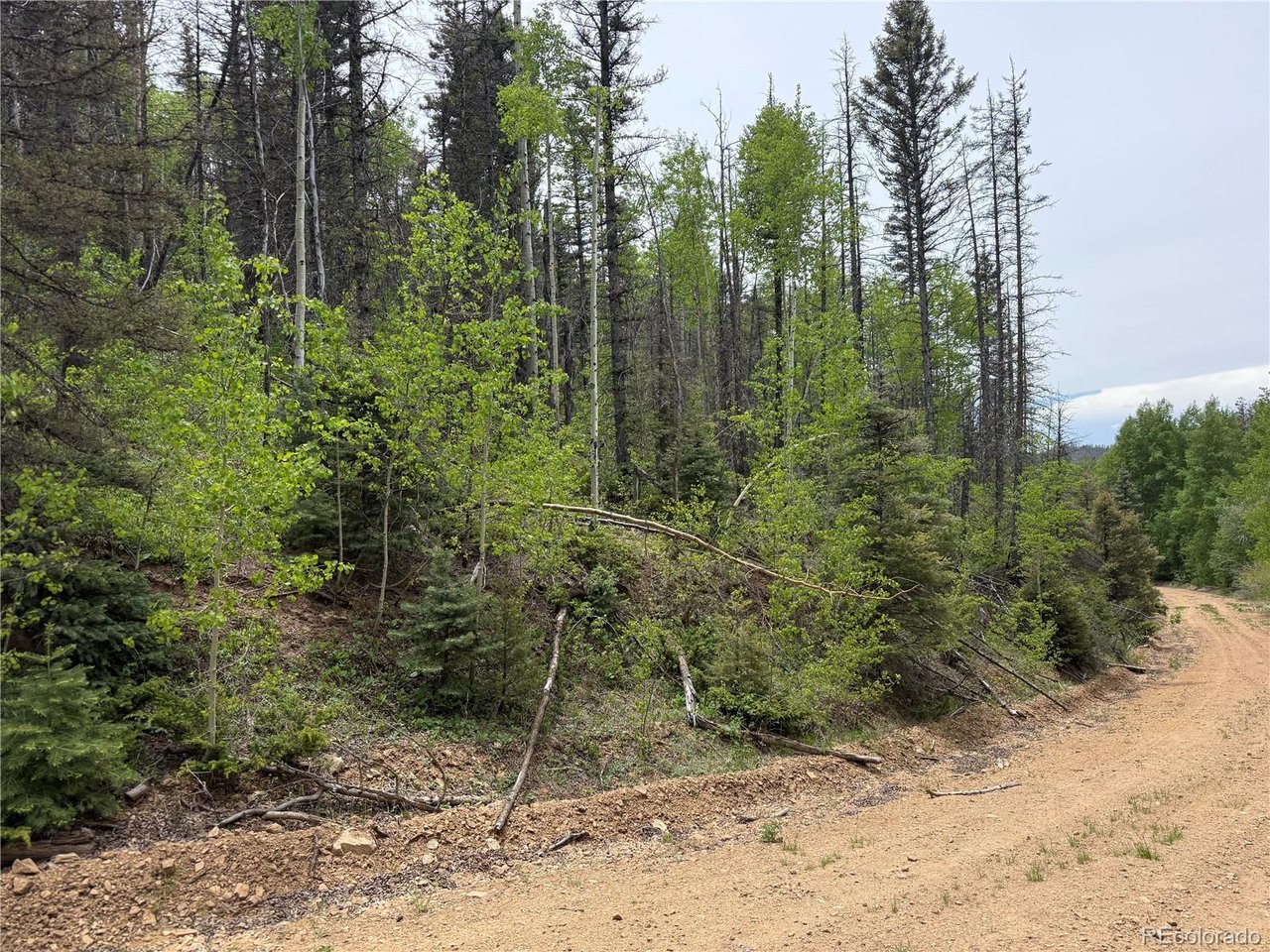 6795 Starkweather Road San Luis, CO 81152 - Photo 18 of 23 a view of a forest