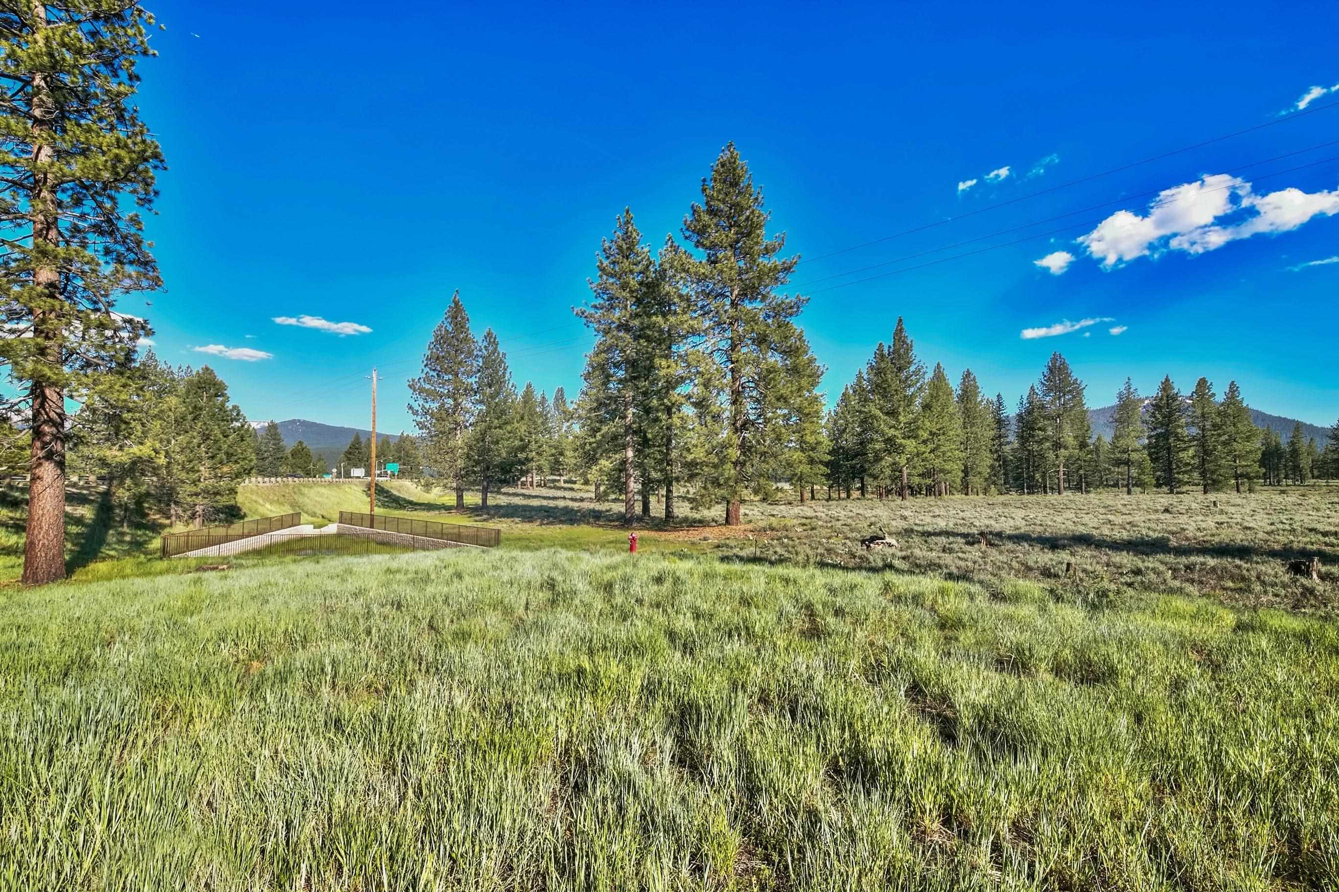 9701 Highway 267 Truckee, CA 96161 - Photo 12 of 21 a view of a yard with an trees