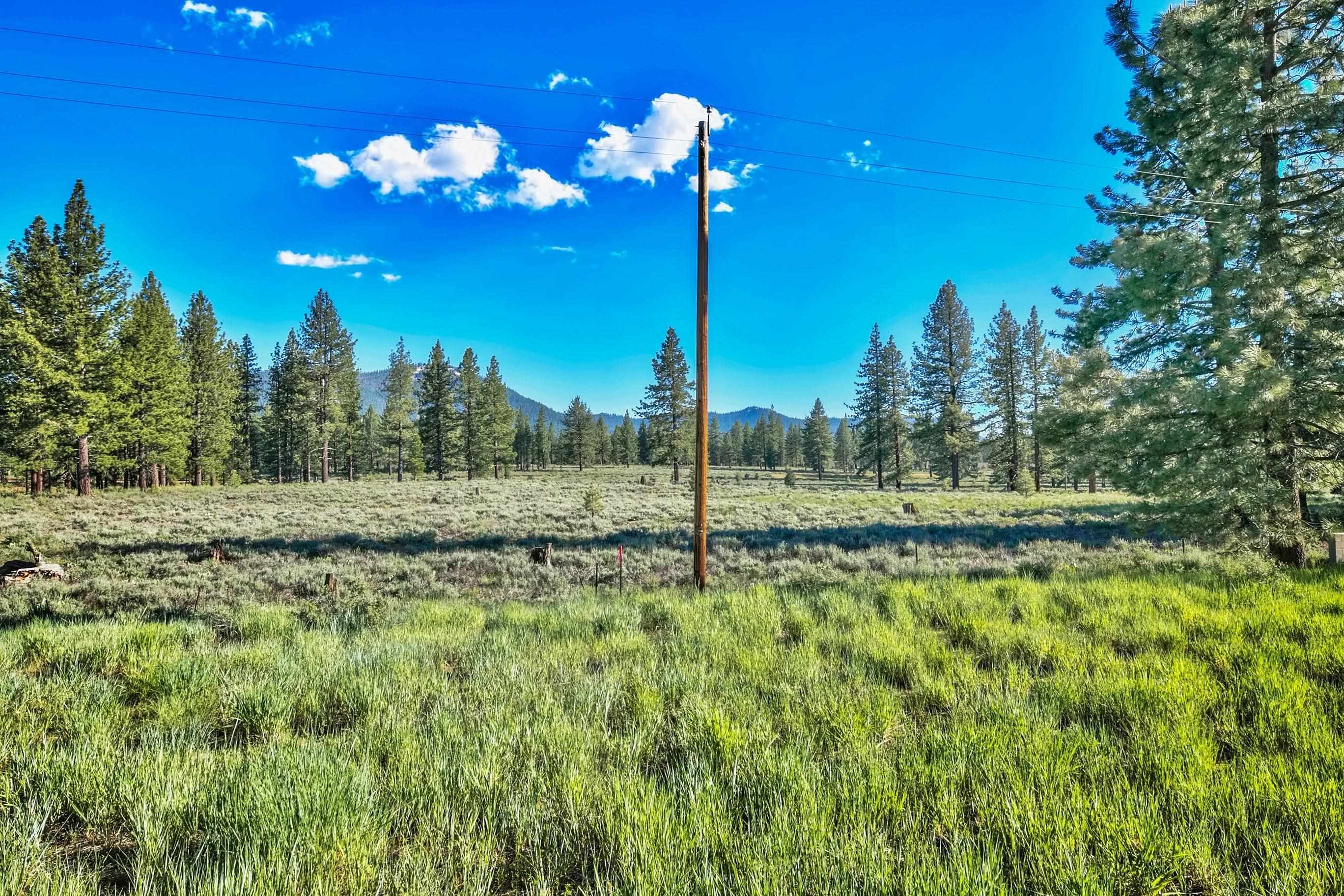 9701 Highway 267 Truckee, CA 96161 - Photo 13 of 21 a view of a golf course with a tree