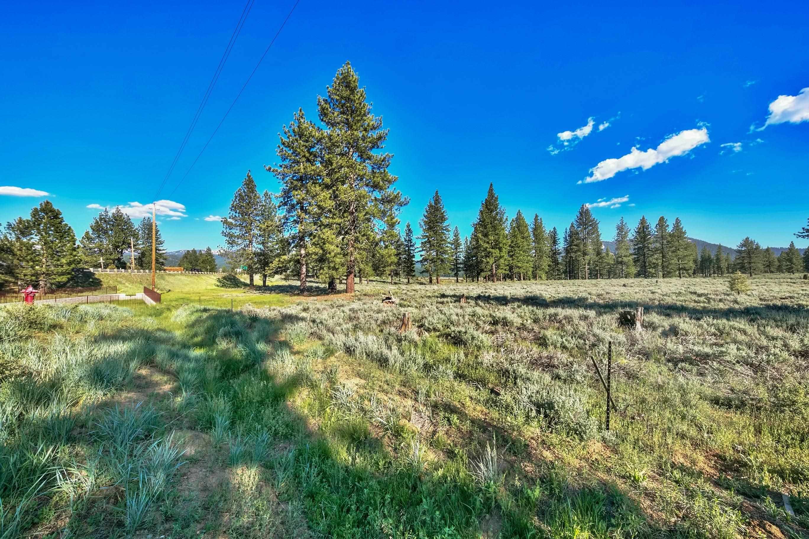 9701 Highway 267 Truckee, CA 96161 - Photo 15 of 21 a view of a yard with trees