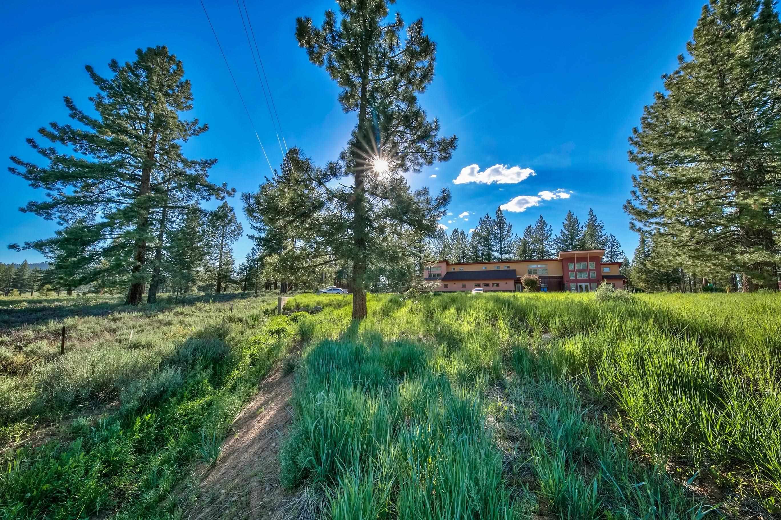 9701 Highway 267 Truckee, CA 96161 - Photo 16 of 21 a view of a yard with a fountain