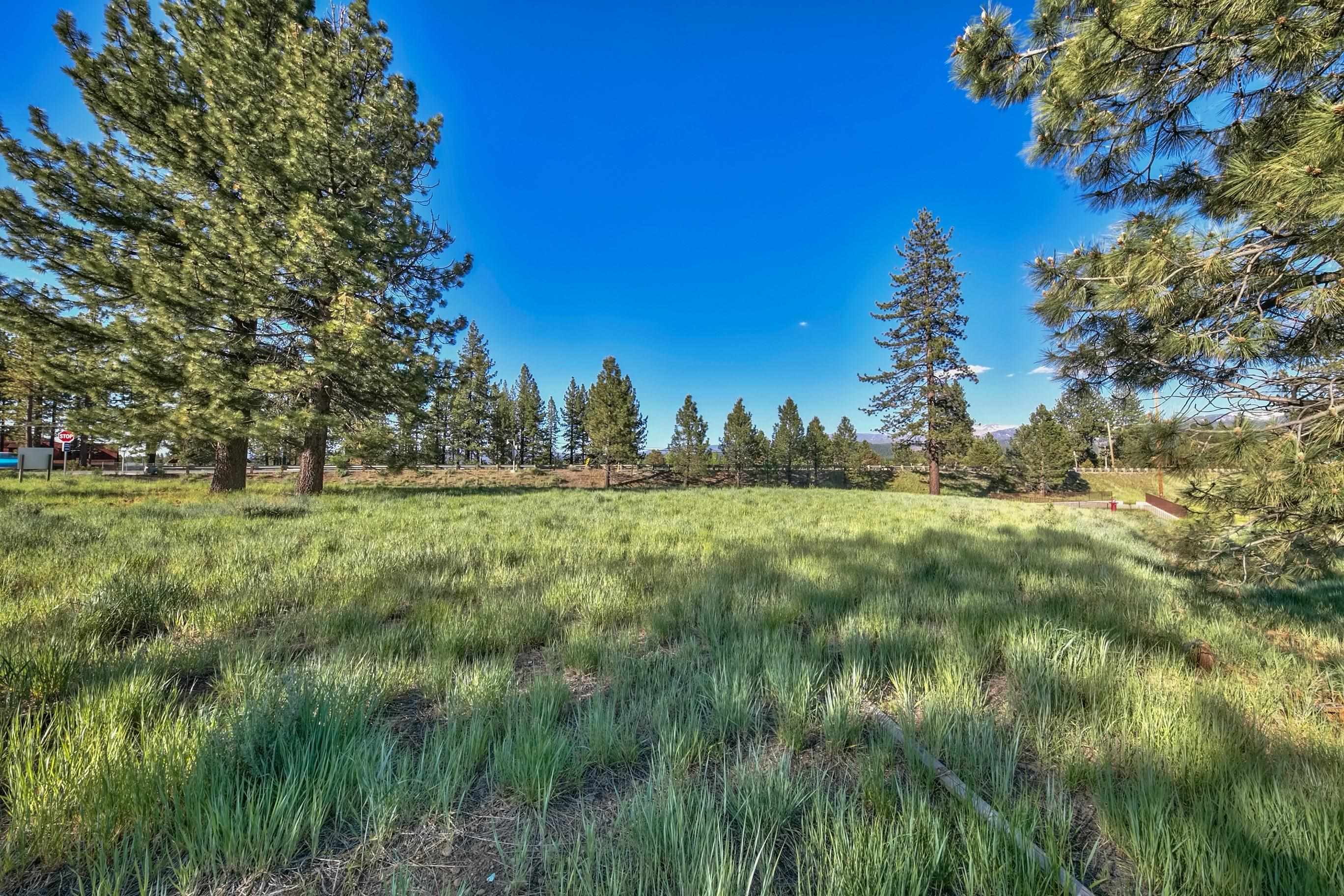9701 Highway 267 Truckee, CA 96161 - Photo 17 of 21 a view of green field with trees in the background