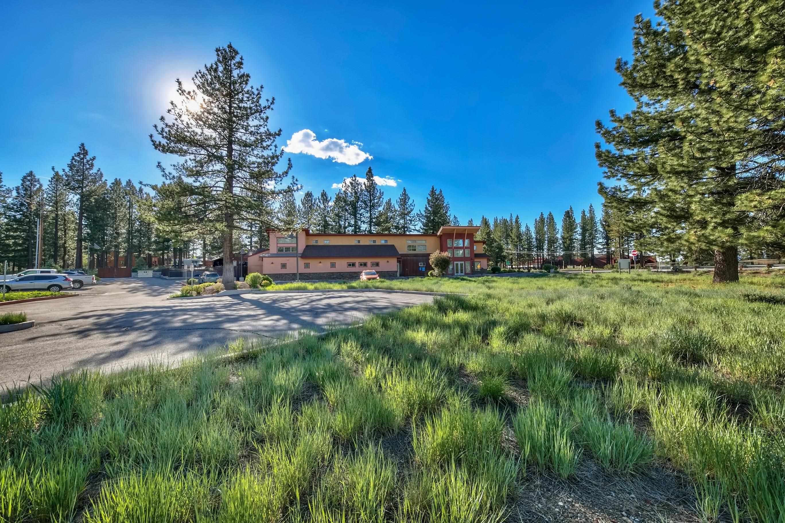 9701 Highway 267 Truckee, CA 96161 - Photo 18 of 21 a view of a yard with a tree