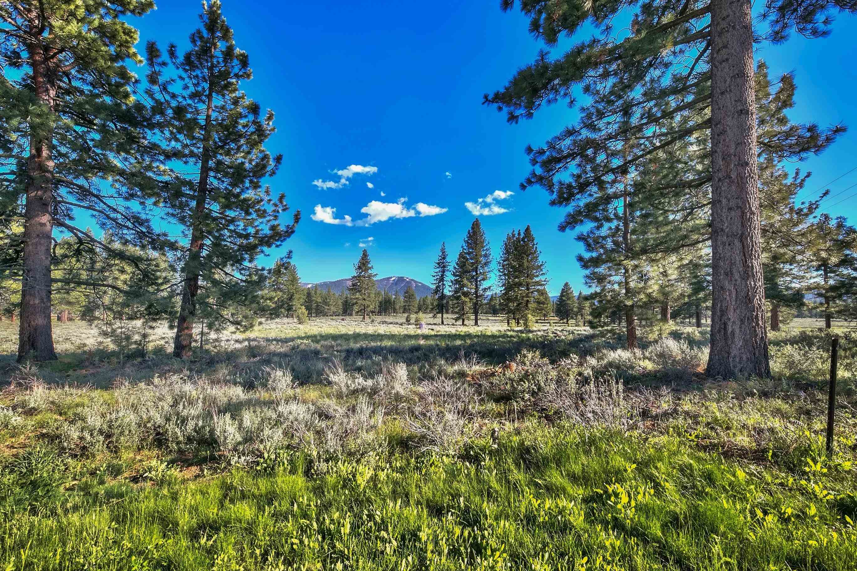 9701 Highway 267 Truckee, CA 96161 - Photo 20 of 21 a view of a yard with a fountain