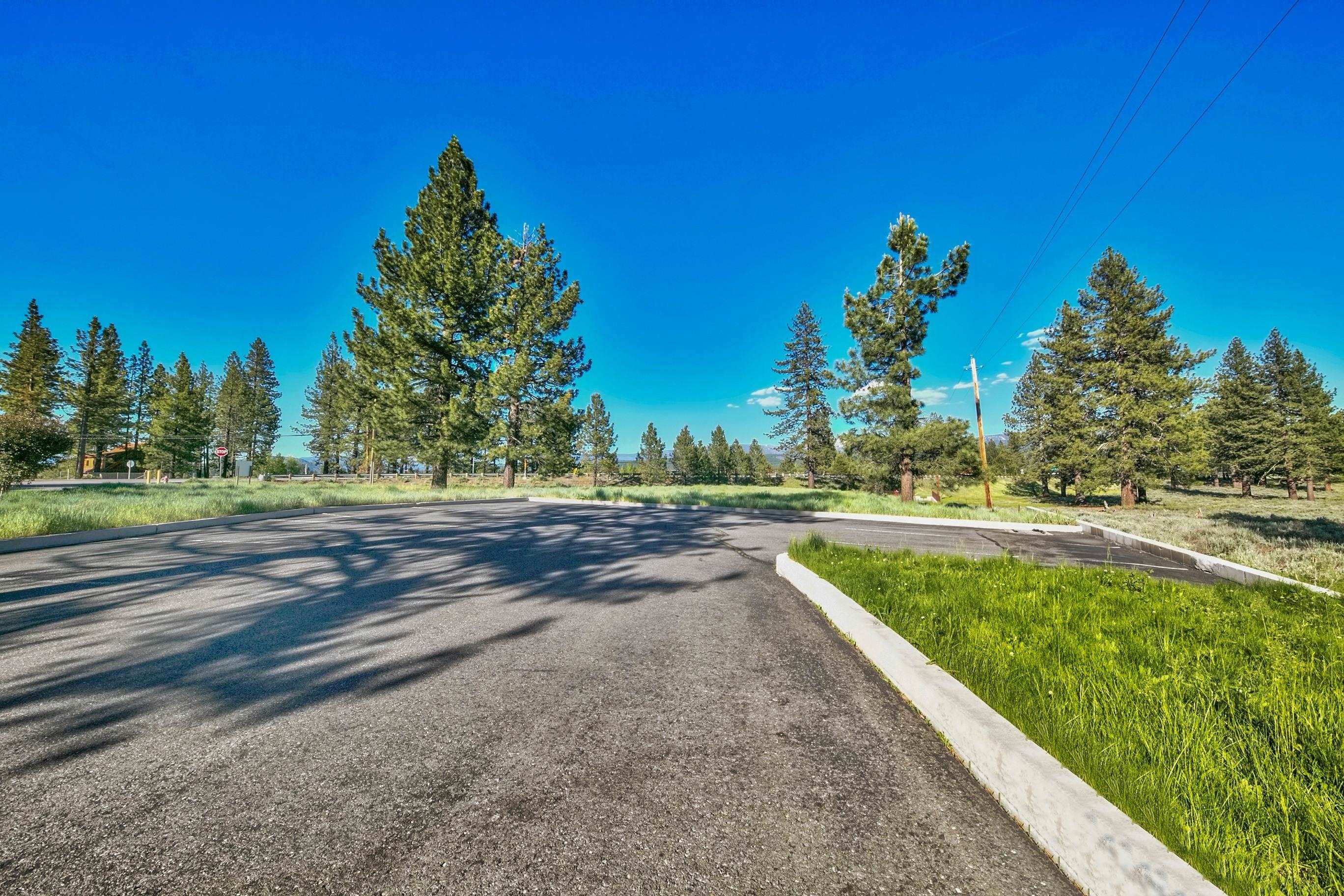9701 Highway 267 Truckee, CA 96161 - Photo 3 of 21 a view of a garden