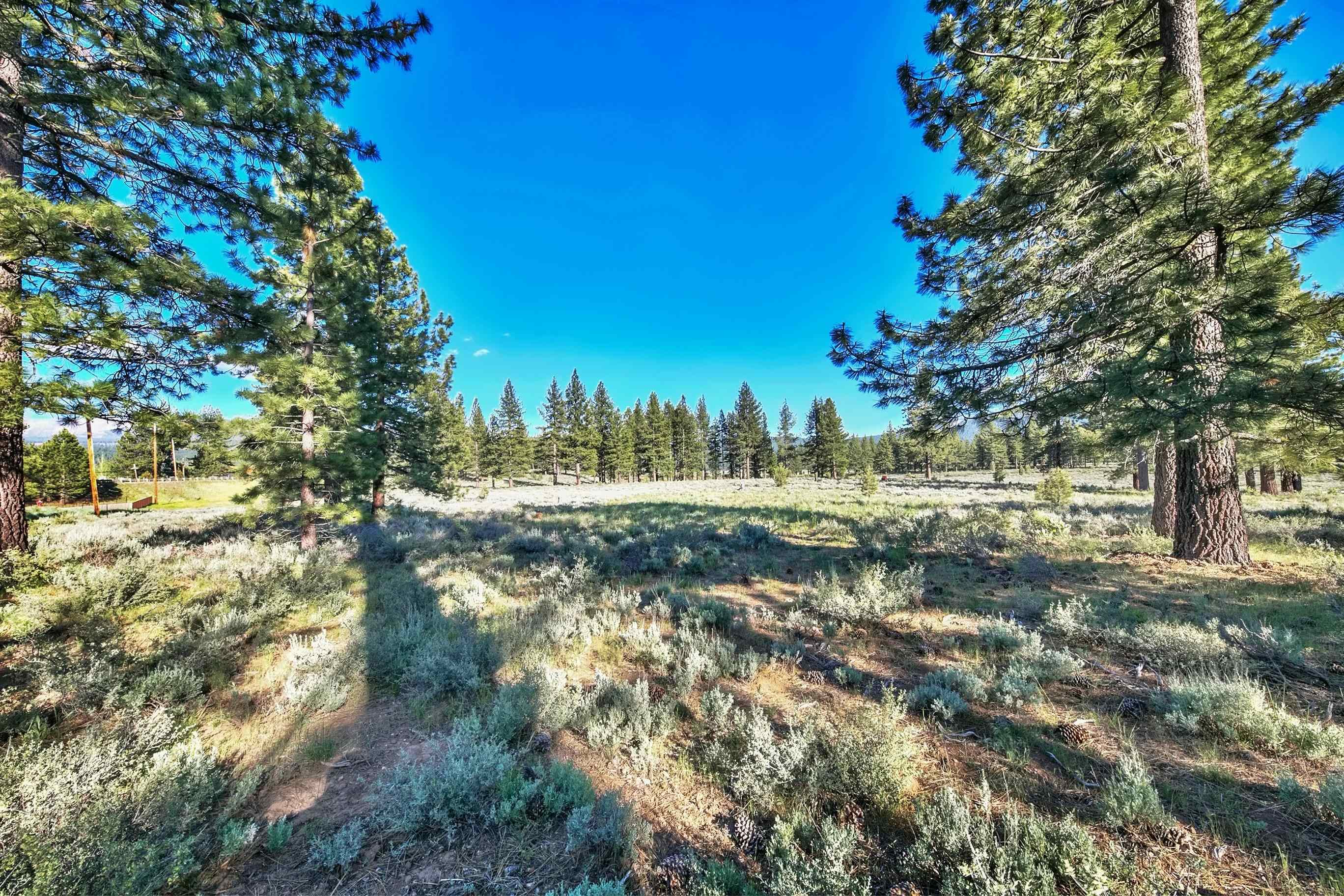 9701 Highway 267 Truckee, CA 96161 - Photo 7 of 21 a view of a yard with a tree