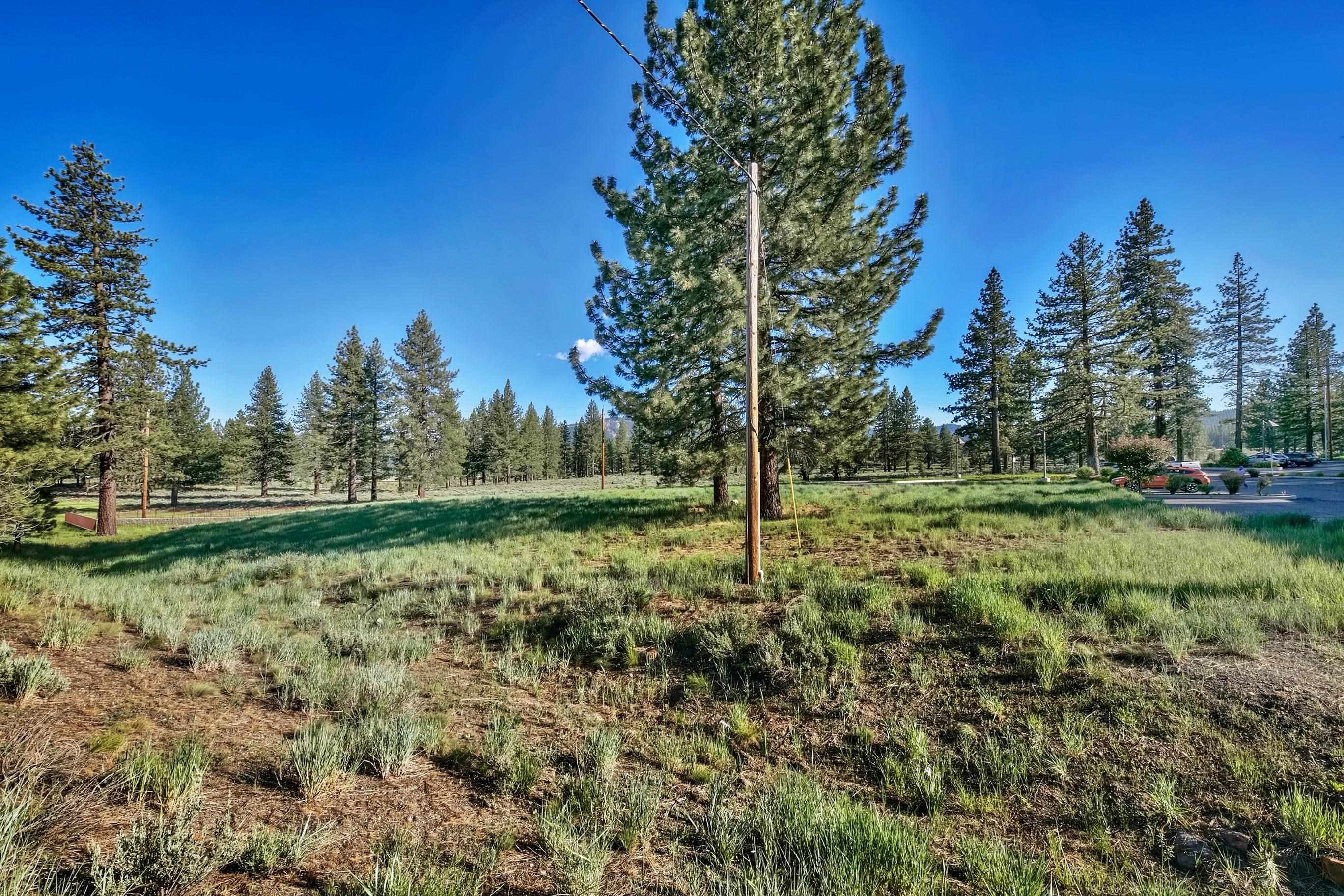 9701 Highway 267 Truckee, CA 96161 - Photo 9 of 21 a view of a garden with trees