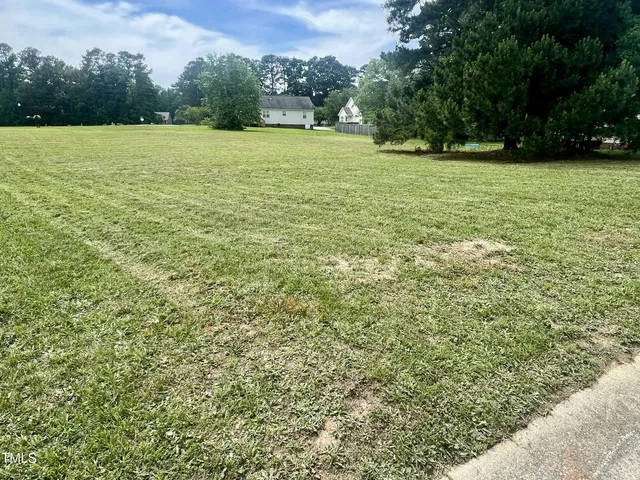 a view of a field with a trees in the background
