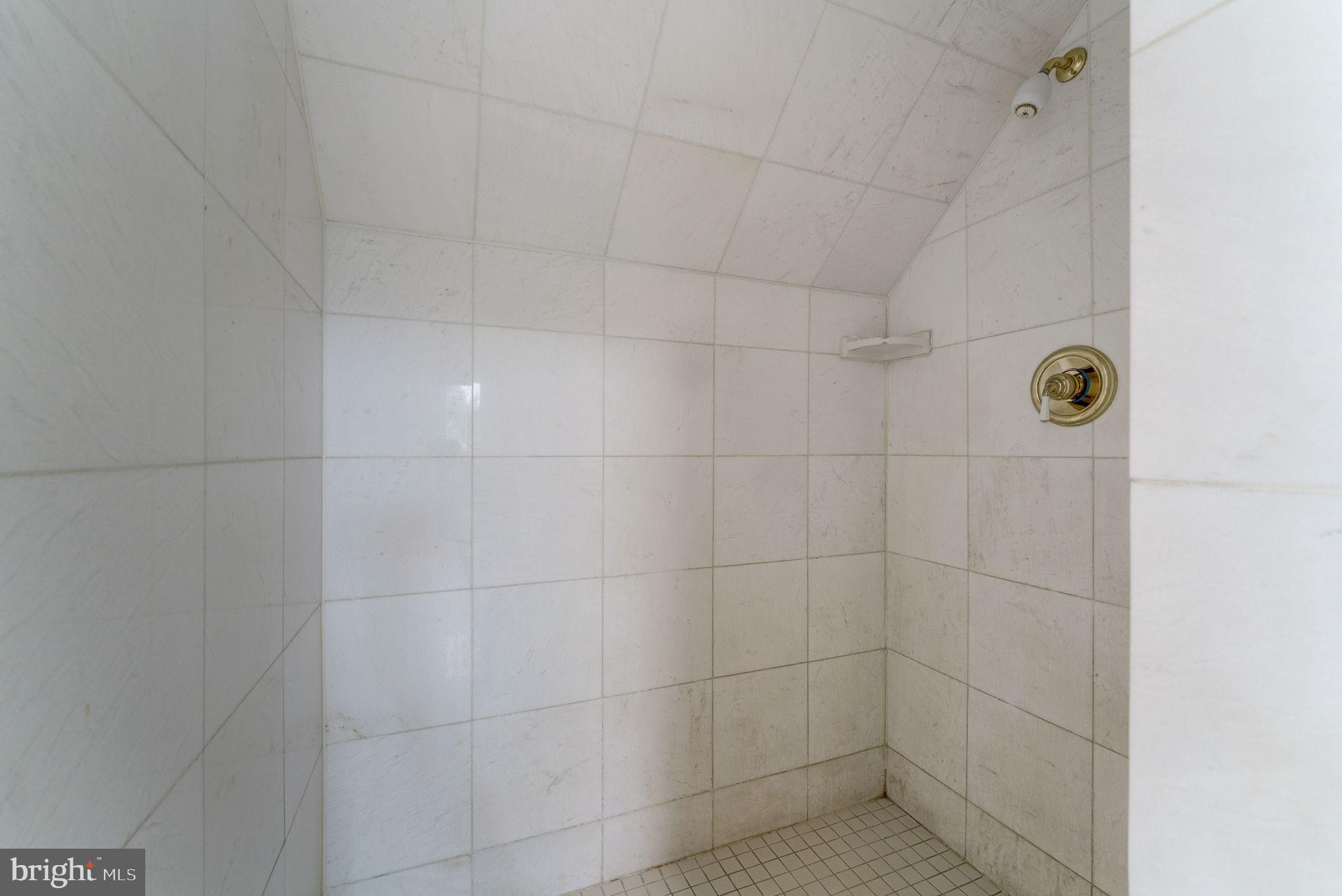 4011 Holly Tree Road Temple Hills, MD 20748 - Photo 29 of 62 Primary Bath Shower