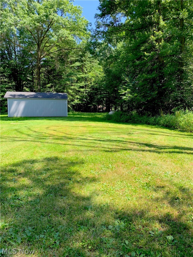 19155 West Middletown Road Beloit, OH 44609 - Photo 26 of 28 Back yard