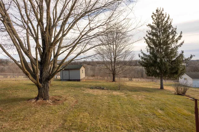 a view of a yard with a tree