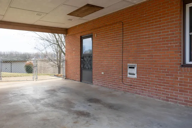 a view of backyard with large tree