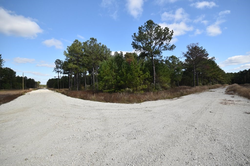 0 Brown Road Trinity, TX 75862 - Photo 11 of 15 The last T in the road before the property starts.