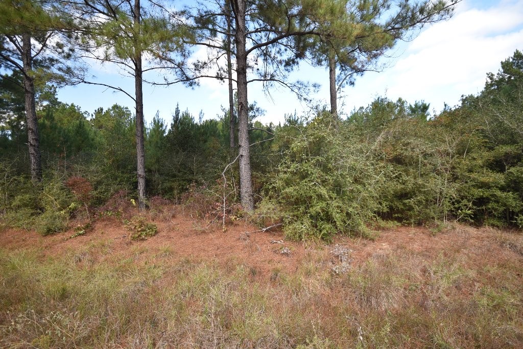 0 Brown Road Trinity, TX 75862 - Photo 2 of 15 Gallery Image 2