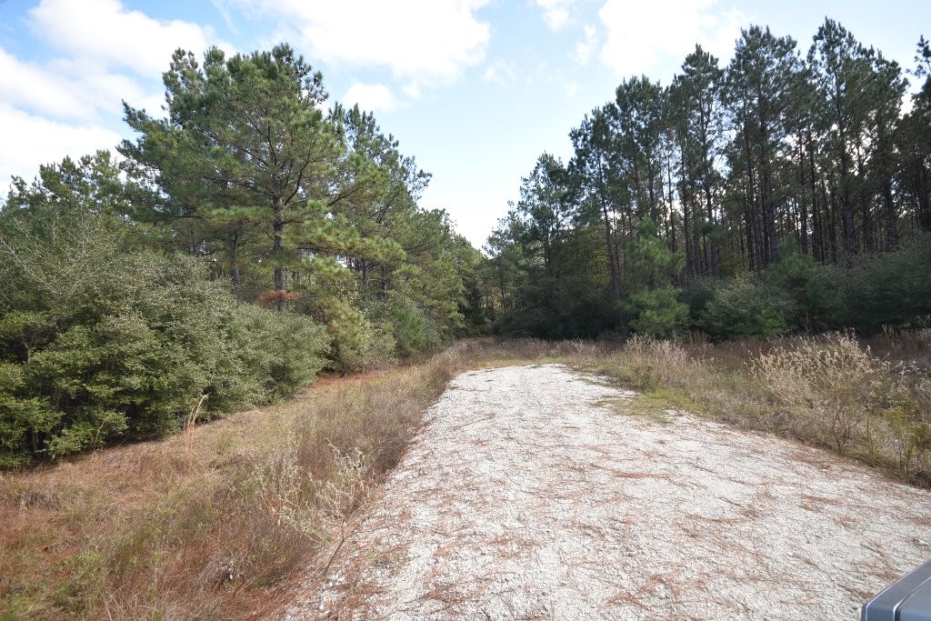 0 Brown Road Trinity, TX 75862 - Photo 3 of 15 Gallery Image 3