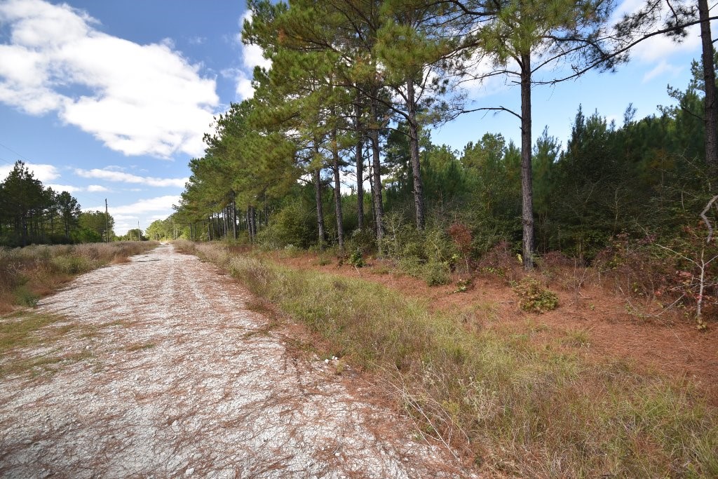 0 Brown Road Trinity, TX 75862 - Photo 5 of 15 Gallery Image 5