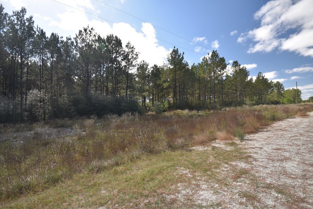 0 Brown Road Trinity, TX 75862 - Photo 7 of 15 Gallery Image 7