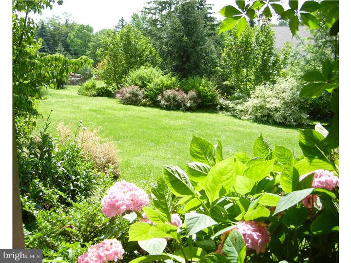 208 Suffolk Road Flourtown, PA 19031 - Photo 22 of 24 Back Yard