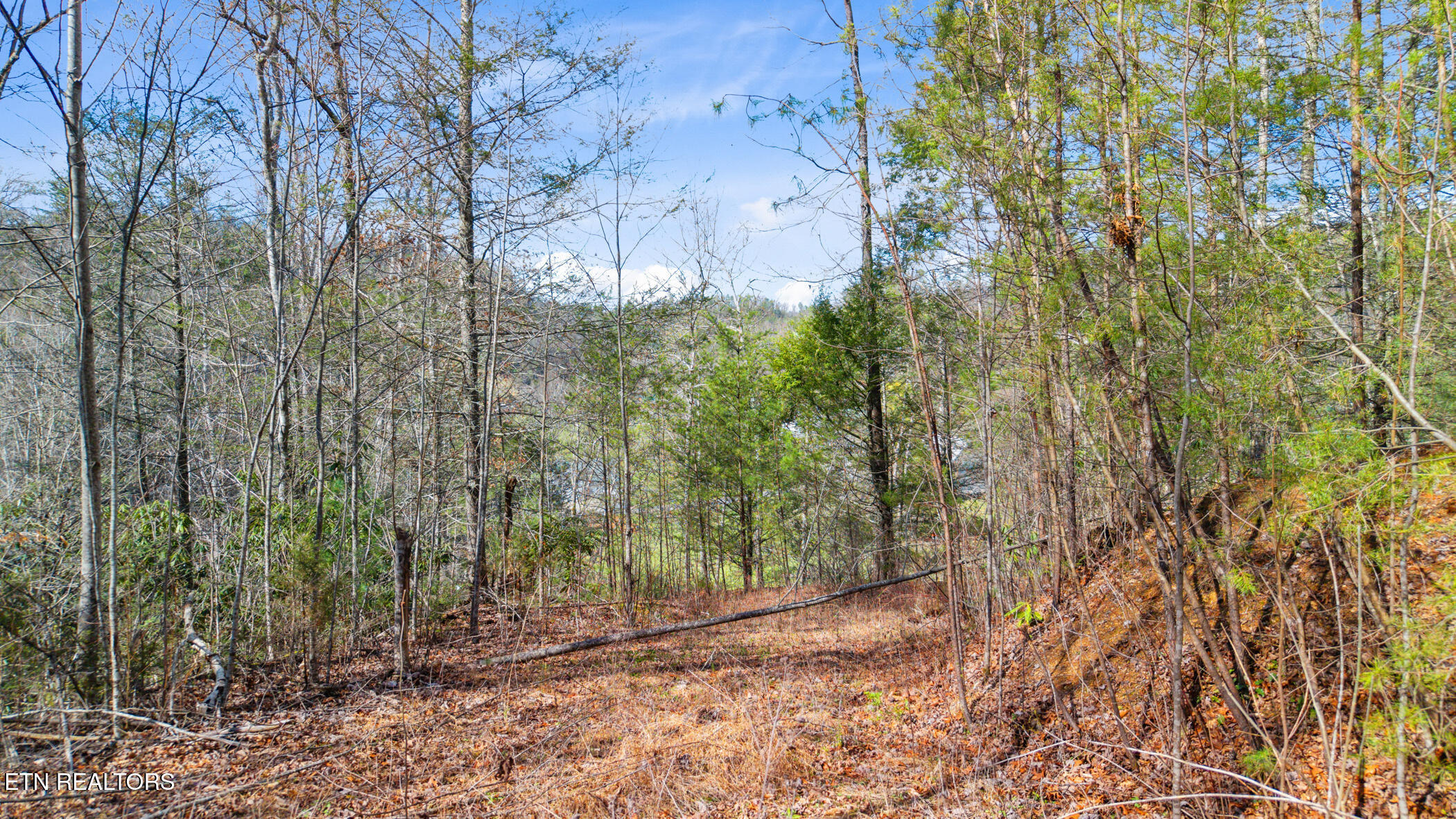 Little Cove Sevierville, TN 37862 - Photo 11 of 16 dji_20260317160405_0626_d