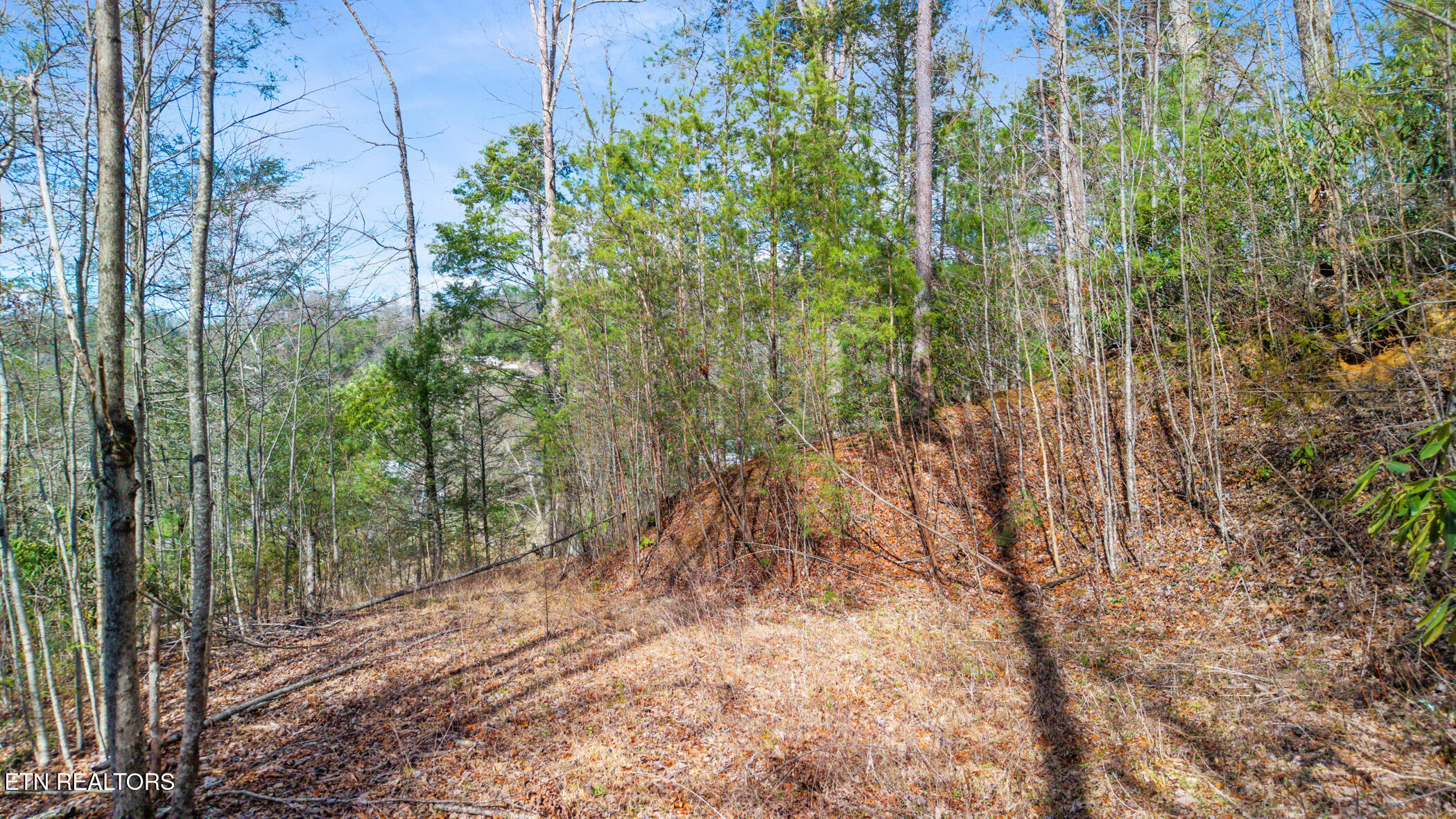 Little Cove Sevierville, TN 37862 - Photo 12 of 16 dji_20260317160422_0629_d