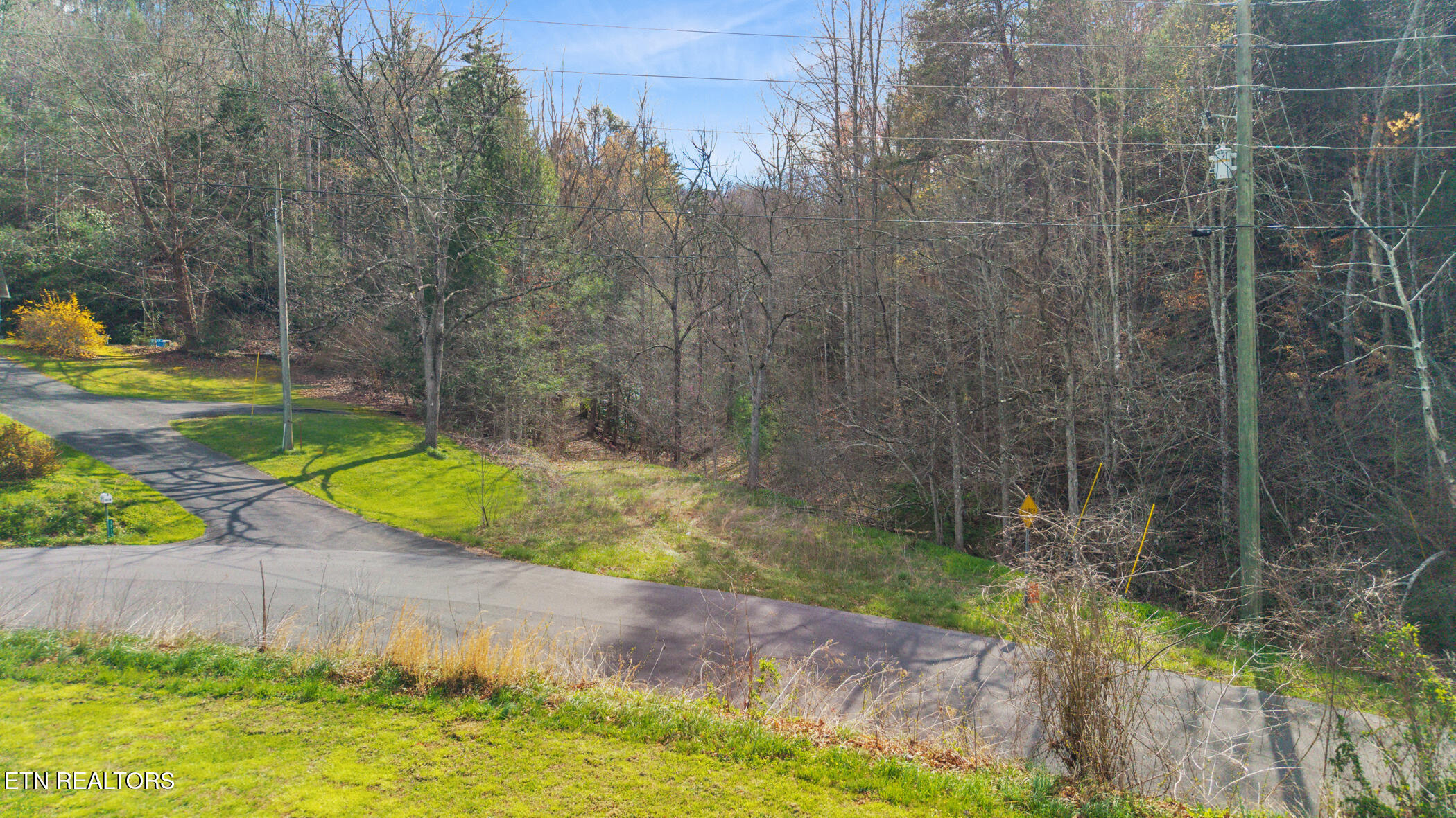 Little Cove Sevierville, TN 37862 - Photo 9 of 16 dji_20260317160258_0617_d