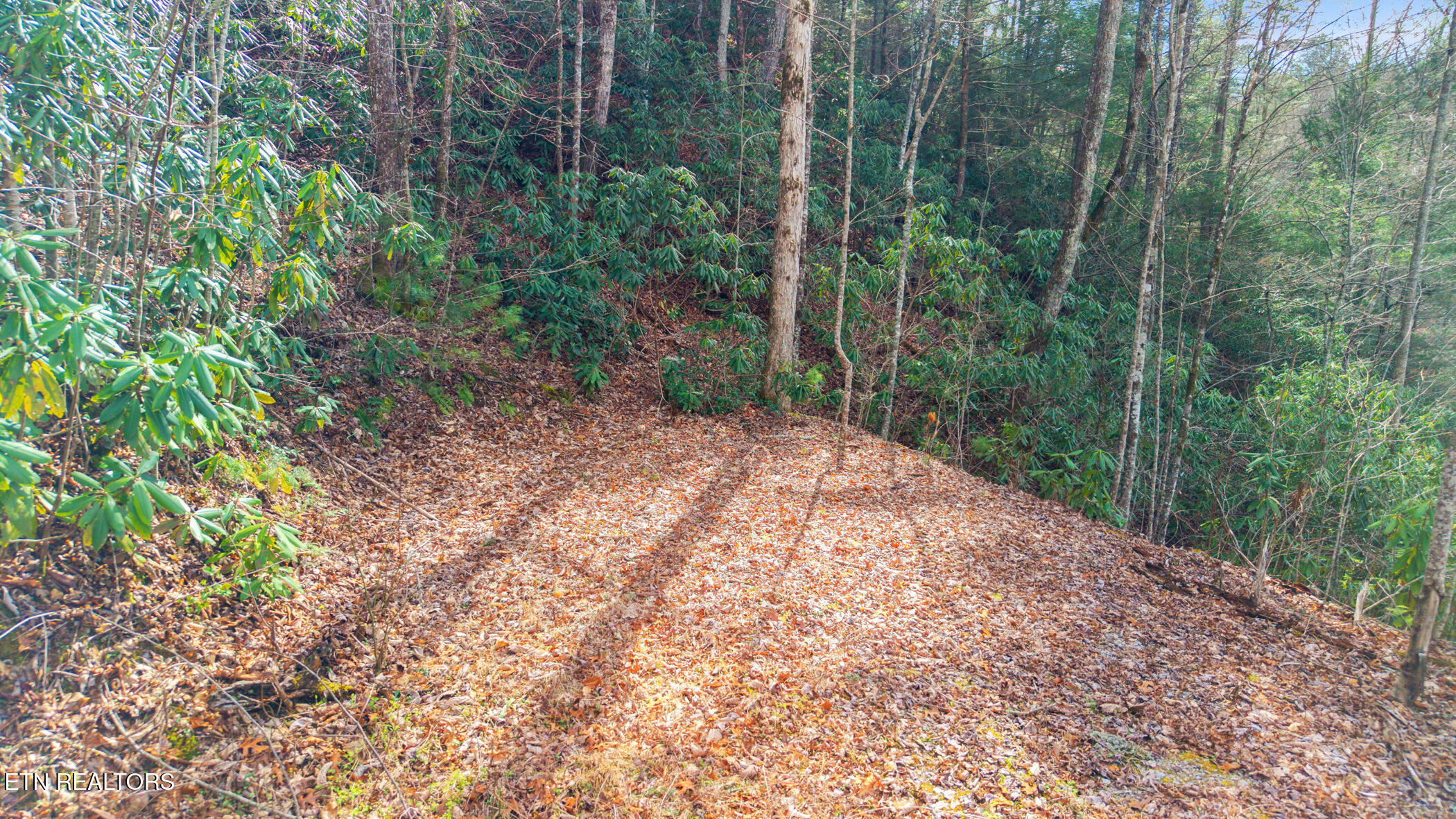 Little Cove Sevierville, TN 37862 - Photo 10 of 16 dji_20260317160353_0623_d