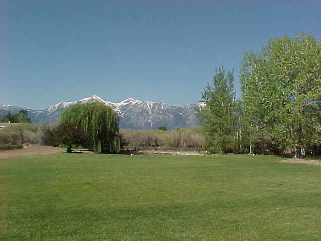 1650 Lombardy Road Gardnerville, NV 89410 - Photo 7 of 8 a backyard of a house with lots of green space and trees