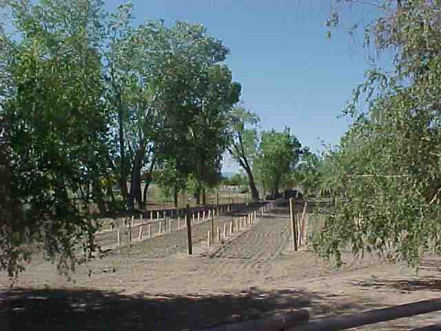 1650 Lombardy Road Gardnerville, NV 89410 - Photo 8 of 8 a view of a park