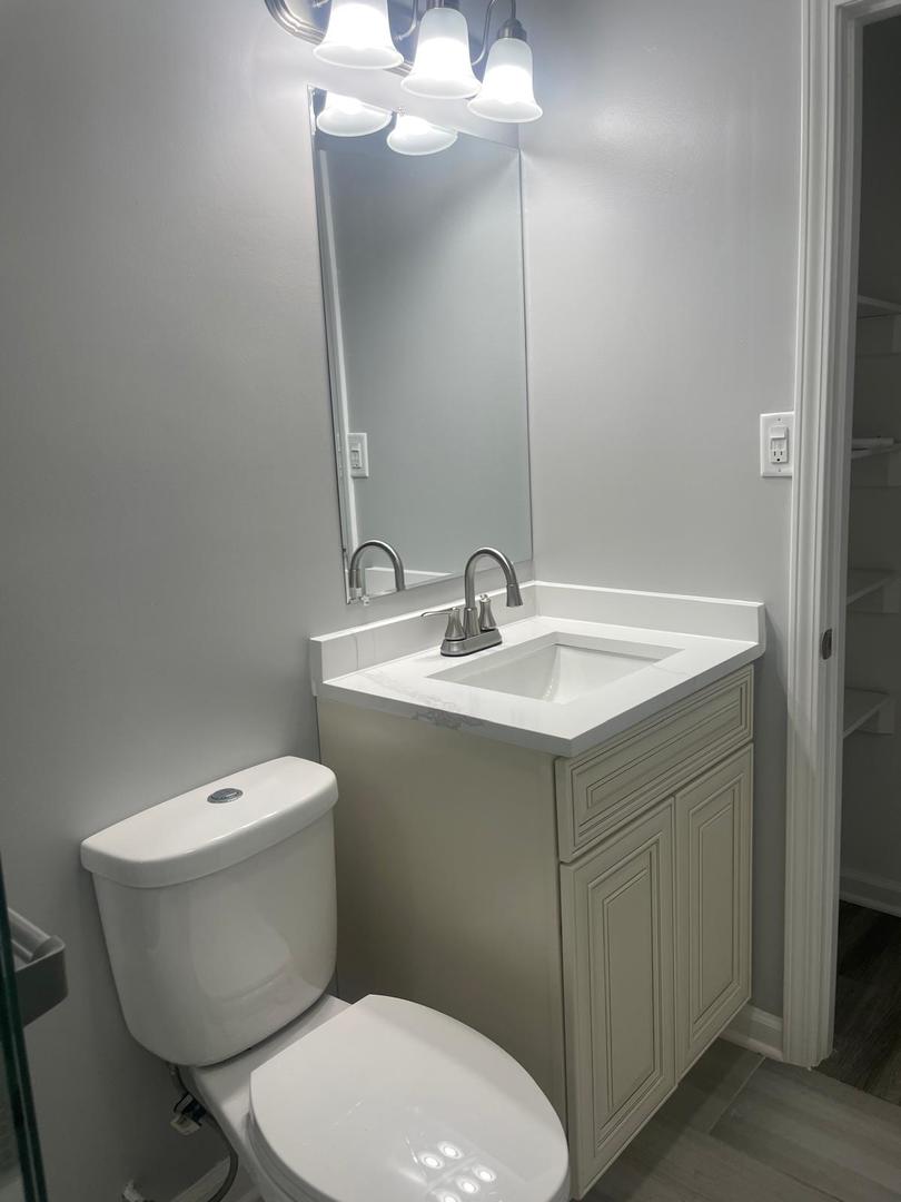 573 Redwood Road Bolingbrook, IL 60440 - Photo 16 of 24 a bathroom with a sink mirror and toilet