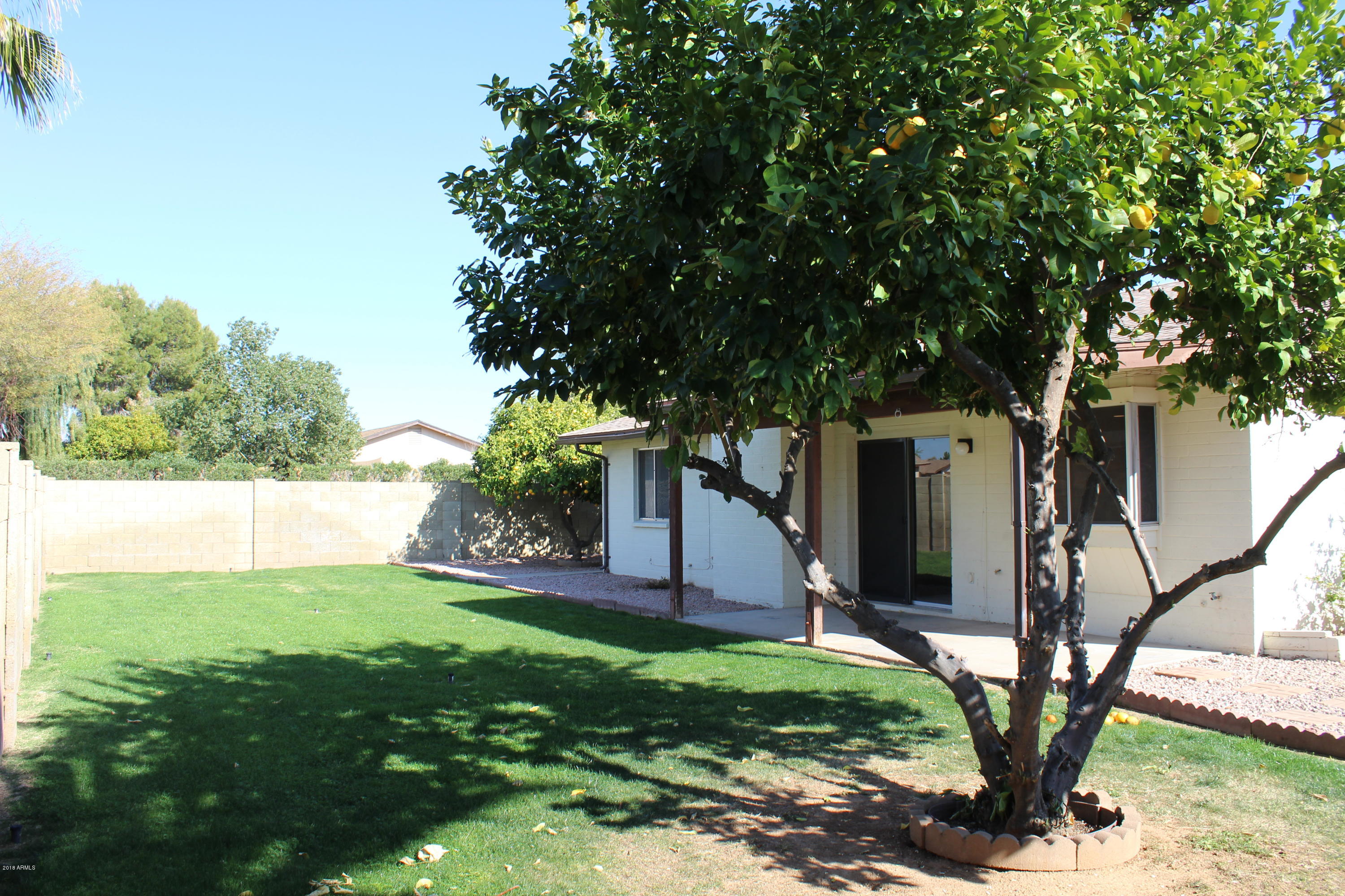 5940 East Spring Road Scottsdale, AZ 85254 - Photo 20 of 23 Back yard 1
