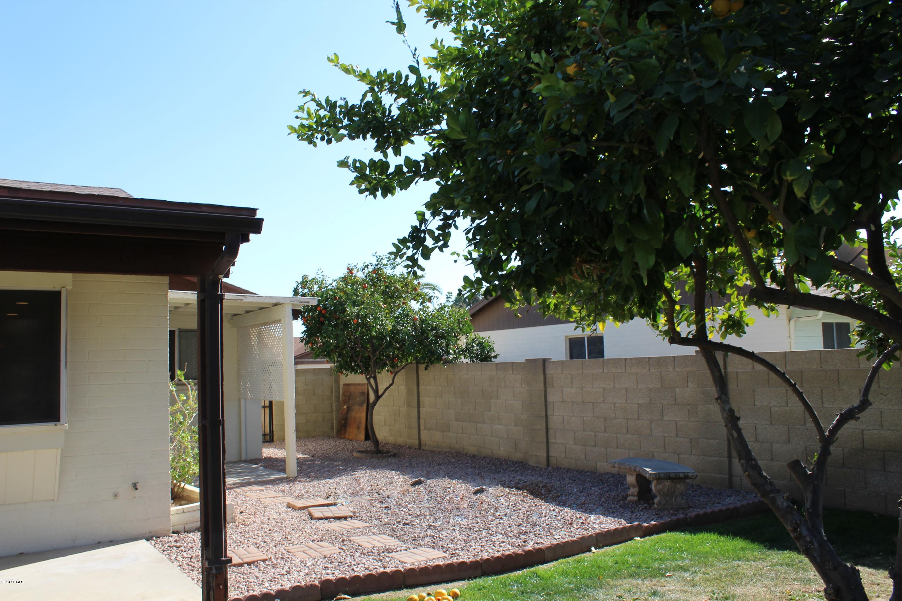 5940 East Spring Road Scottsdale, AZ 85254 - Photo 21 of 23 a view of a backyard