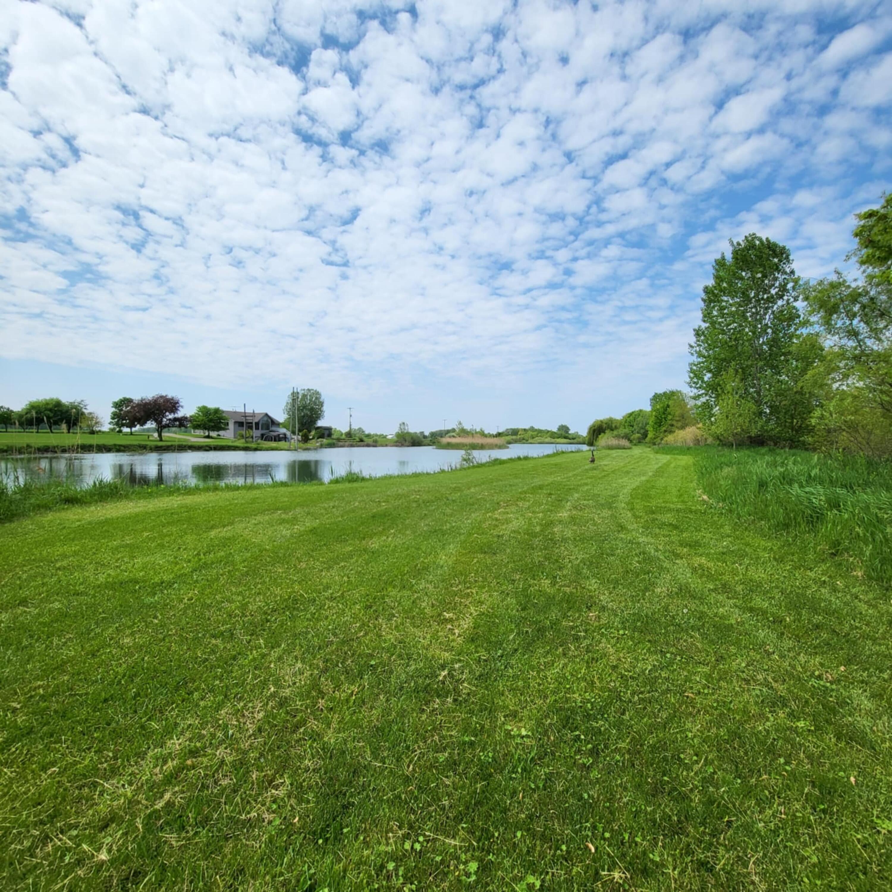 15615 West Kinley Road Pewamo, MI 48873 - Photo 22 of 54 72ecd313-8ef7-45a3-9265-1c656cd55a74