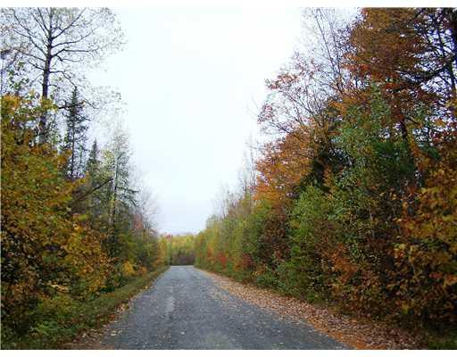 700 Butterfield Ridge Road Lincoln, ME 04457 - Photo 12 of 12 Land/Lot.