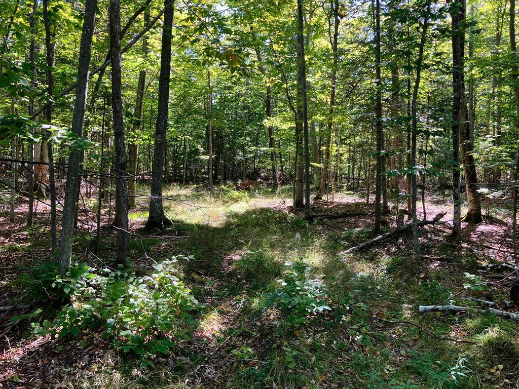 749 Isle View Road Ellison Bay, WI 54210 - Photo 4 of 9 Gallery Image 4