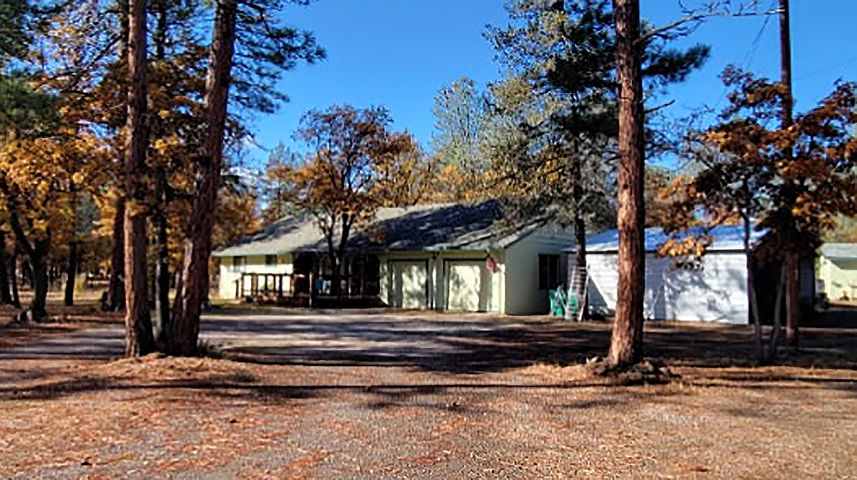 a front view of a house with a tree