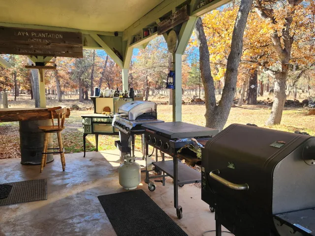 a roof deck with table and chairs and potted plants